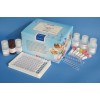 Beta-内酰胺类药物ELISA测试盒