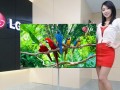 LG 55寸OLED电视预售超100台 本周上市(图)
