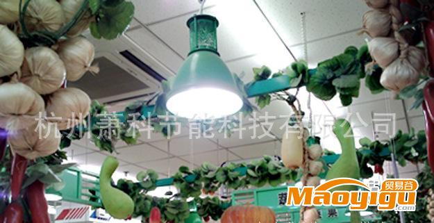 供应LED节能生鲜灯、农产品市场灯、食品库房灯、生鲜展厅灯,超市灯