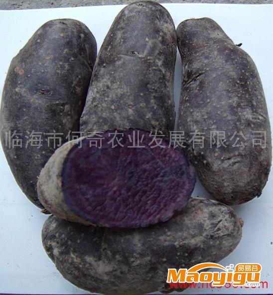 黑土豆 紫山药代理加盟