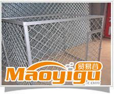 供应金南各种型号狗笼专用美格网|宠物笼批发