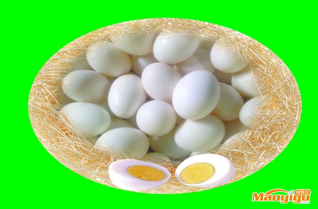 供应：蛋中珍品--鸽子蛋  “ 瑞翔”鸽蛋  健康相伴