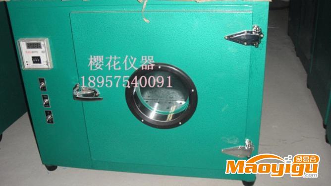 供应上海光地202A-00（250*250*250）电热恒温干燥箱实验室烘箱烤