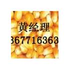 ■■正荣现款求购玉米大豆小麦DDGS等饲料原料