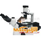 供应广州蔚仪金相试验仪器　销售　BDS200-FL倒置荧光显微镜
