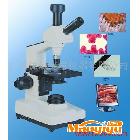供应微域WSV-300视频检查仪 视频显微镜 教学显微镜