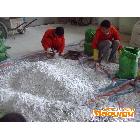 供应天函硅灰石粉硅灰石 硅灰石粉 硅灰石应用