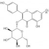 紫云英苷，百蕊草素I，槲皮素，槲皮苷，香叶木素