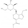 京尼平苷，香紫苏醇，香紫苏内酯，紫杉醇，多烯紫杉醇