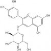 氯化矢车菊素-3-O-葡萄糖苷，氯化矢车菊素