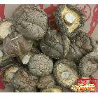 【綠色山貨】一级干香菇 土产干货 平庄菇批发 AAA2.5