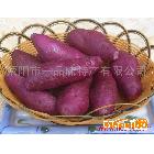 供应红薯，荥阳市一品味特产有限公司购买热线：13903851039