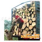 厂家直销  柬埔寨 像胶树  全年批发  世界价格最低 原木 木板