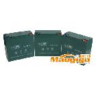 供应旭派6-DZM-2060电动车蓄电池排名