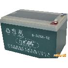 供应旭派6-DMZ-12电动车电池