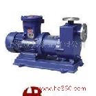 4 ZCQ32-25-145型自吸磁力泵_1