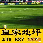 供应透气透水性优异之【人造草/人造草坪】足球场材料首选|专业人