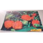 供应草莓餐桌垫印刷