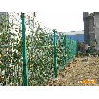 供应广州深圳围墙围栏网，围栏铁丝网最低生产商，欢迎来电