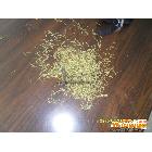 库存新食元牌新食元牌金银花