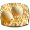 供应优质蛋黄粉最新报价，河南蛋黄粉厂家直销，蛋黄粉出厂价