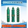 QS潜水电泵,充水式潜水泵,QS15潜水泵