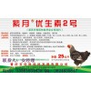 种禽专用-紫月优生素 紫优素 紫苏籽提取物 饲料添加剂