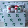 伪狂犬病毒gE蛋白抗体检测试​剂盒