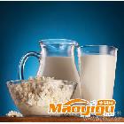 供应牧场牛奶 鲜牛奶 优质乳制品