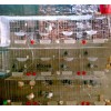 供应鸽笼、盛祥鸽子笼、鸽子笼制作、自制鸽子笼