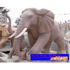 供应石雕大象、汉白玉大象