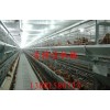 河北畜牧设备厂家，北京鸡笼厂，江苏畜牧设备厂