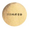 酵素 台湾进口SOD酵素纯粉 |台湾万大酵素 |调理亚健康 |肝胆排毒