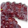 无核红宝石葡萄苗木,红芭拉蒂葡萄苗,优质A09葡萄苗木,莱州市葡萄