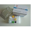 磺胺多残（SAs）留酶联免疫检测试剂盒