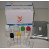 链霉素酶联免疫检测试剂盒