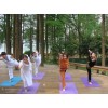 福州丹婷瑜伽/福州瑜伽教练培训/福州哪里有专业培训瑜伽学校