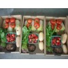 蔬菜礼盒|寿光蔬菜礼盒|鹏润蔬菜礼盒销售商