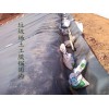 【荐】-宁波生活垃圾填埋场防渗膜供应|泰安永立