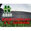 北京车库绿化排水板@地下室排水板|蓄排水板供应