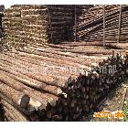 【北京】厂家直销 批发零售 优质 3米（绿化用）杉木杆