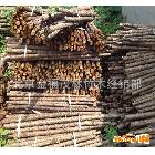 【绿化特价】 北京金茂 厂家直销 批发零售 福建 2米 杉木杆