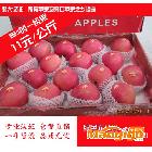 供应85#全红一级果， 红富士苹果 烟台鹏大食品 4.5kg一箱