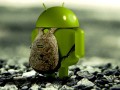 移动消费低迷 Android沦为类功能机?