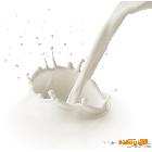 供应纯牛奶 沁园优质鲜牛乳 牛奶批发