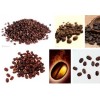咖啡豆进口操作