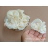 菌类产品白木耳种植白木耳自产自销白木耳市场价格