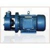 供应旋涡泵  单级旋涡泵， 旋涡泵