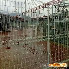 供应永润YR020双圈护栏网 小区花园围栏网
