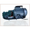 供应油泵 微型齿轮式输油泵，输油泵，油泵
